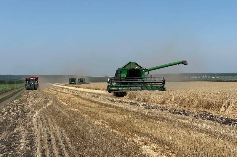 Збирання озимої пшениці в ТОВ «Скіф»